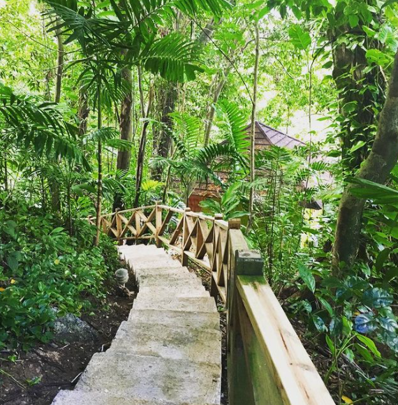 The Path